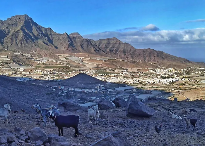 Duplex Hoya Del Viejo Holiday home Las Palmas de Gran Canaria